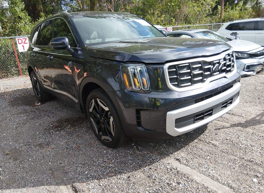 2025 Kia Telluride 3.8L photo