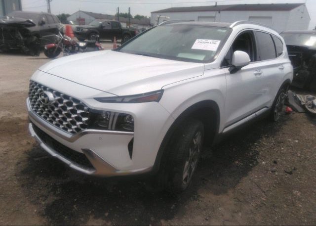 2023 HYUNDAI SANTA FE(VIN: 5NMS4DALXPH485657