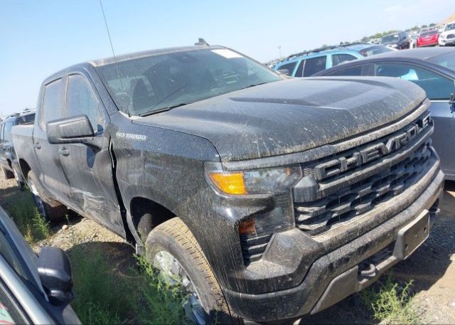 2022 CHEVROLET SILVERADO 1500 (VIN: 1GCPDBEKXNZ616221)