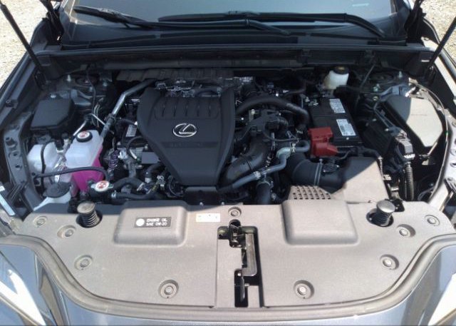 2023 LEXUS NX(VIN: 2T2AGCEZXPC016727