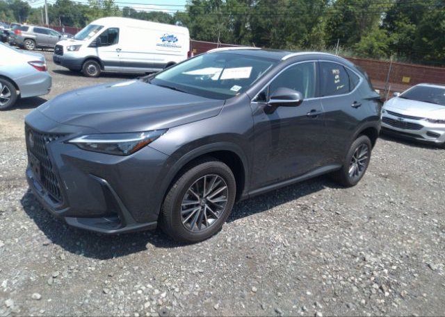 2023 LEXUS NX(VIN: 2T2AGCEZXPC016727