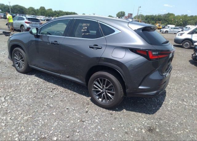 2023 LEXUS NX(VIN: 2T2AGCEZXPC016727