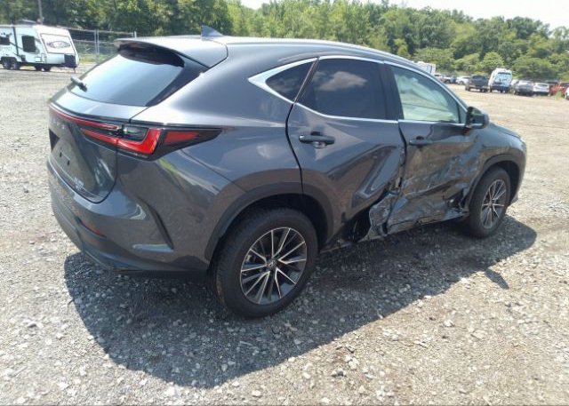 2023 LEXUS NX(VIN: 2T2AGCEZXPC016727