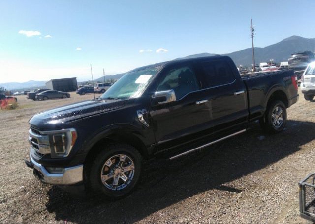 2021 FORD F-150(VIN: 1FTFW1E83MFC81520