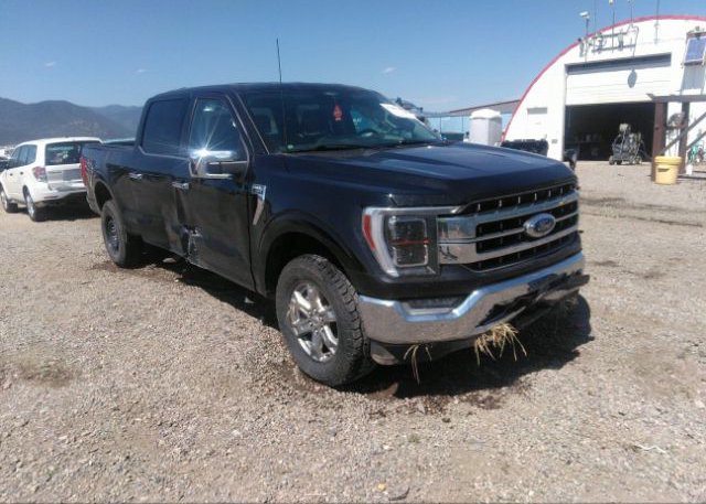 2021 FORD F-150(VIN: 1FTFW1E83MFC81520