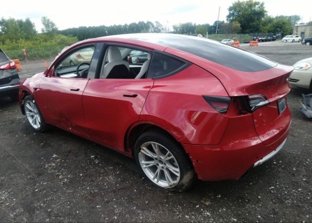 2022 TESLA MODEL Y(VIN: 7SAYGAEEXNF522333
