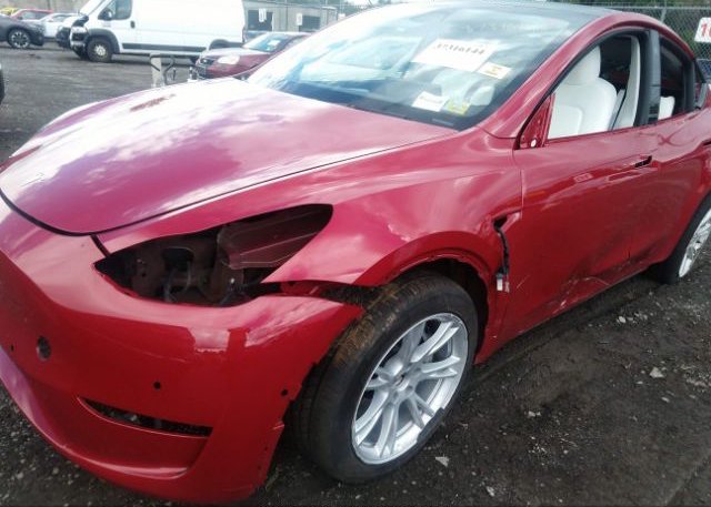 2022 TESLA MODEL Y(VIN: 7SAYGAEEXNF522333