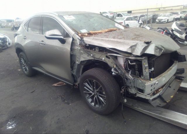 2023 LEXUS NX (VIN: 2T2ADCAZ1PC003329)