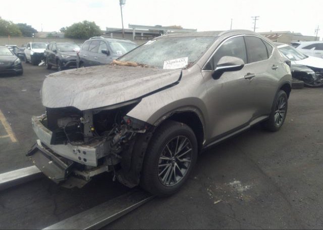 2023 LEXUS NX(VIN: 2T2ADCAZ1PC003329