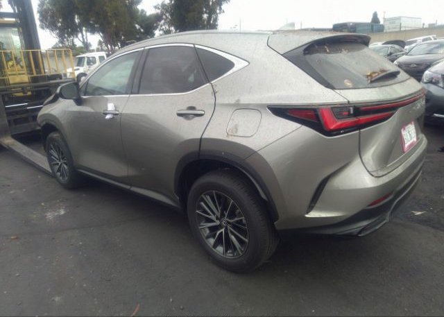 2023 LEXUS NX(VIN: 2T2ADCAZ1PC003329