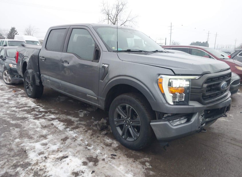 2023 FORD F-150 XLT photo