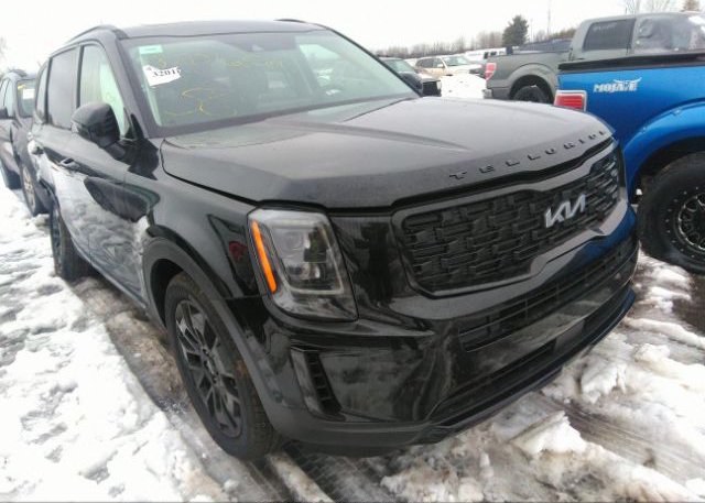 2022 KIA TELLURIDE (VIN: 5XYP3DHC5NG232588)