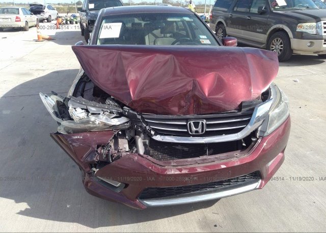 1HGCR2F84DA168303 2013 HONDA ACCORD SDN