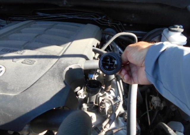 2021 TOYOTA TUNDRA 2WD(VIN: 5TFEY5F16MX296635
