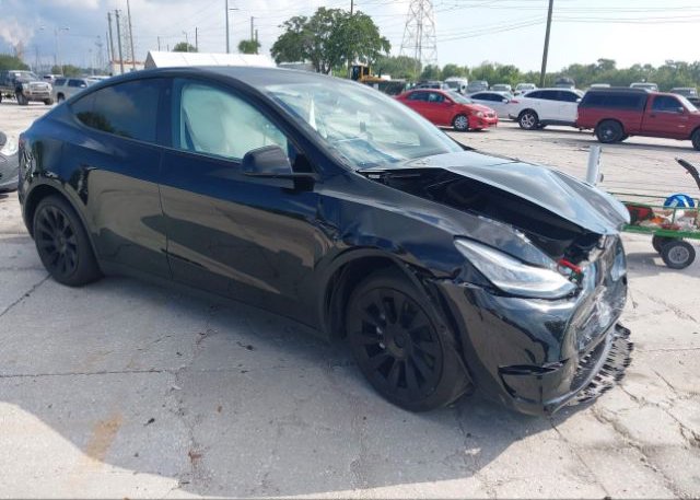 2021 TESLA MODEL Y (VIN: 5YJYGDEE3MF139220)