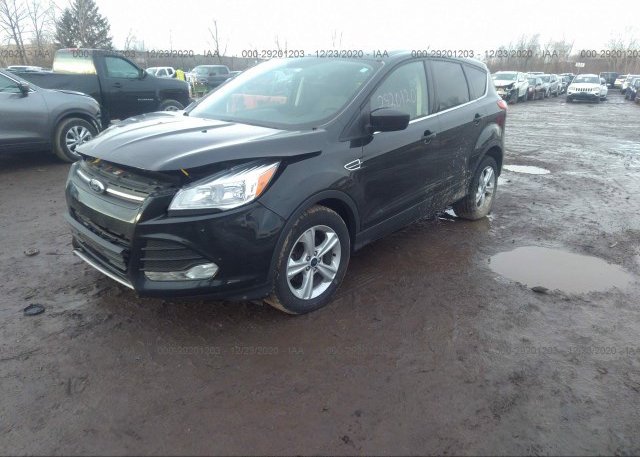 из сша 2015 FORD ESCAPE 1FMCU0GX7FUC24125