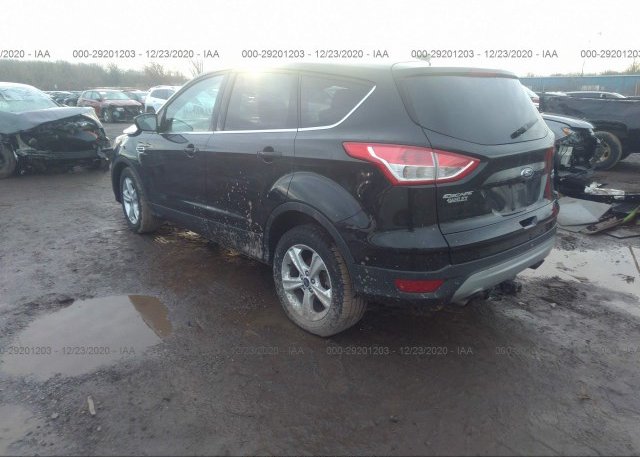 купить 2015 FORD ESCAPE 1FMCU0GX7FUC24125