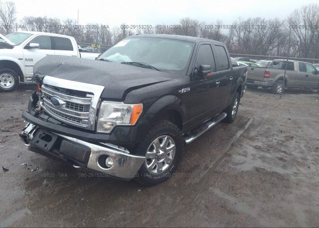 из сша 2013 FORD F-150 1FTFW1EFXDKD54453