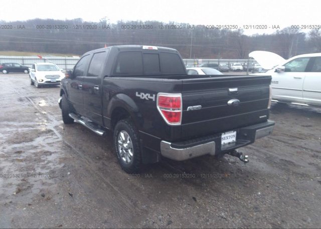 купить 2013 FORD F-150 1FTFW1EFXDKD54453