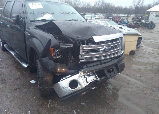 1FTFW1EFXDKD54453 2013 FORD F-150