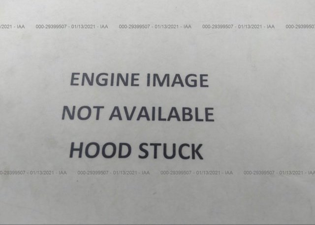 JHMGE8H5XDC042046 2013 HONDA FIT