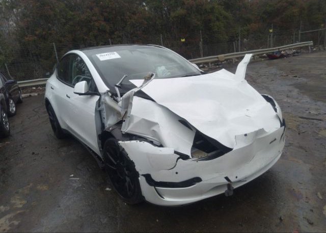 2021 TESLA MODEL Y (VIN: 5YJYGDEE3MF261981)