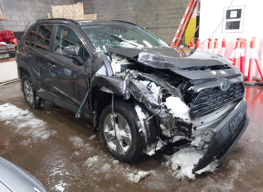 2024 TOYOTA RAV4 XLE photo