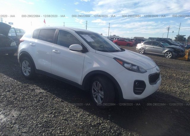 KNDPMCAC6H7202910 2017 KIA SPORTAGE