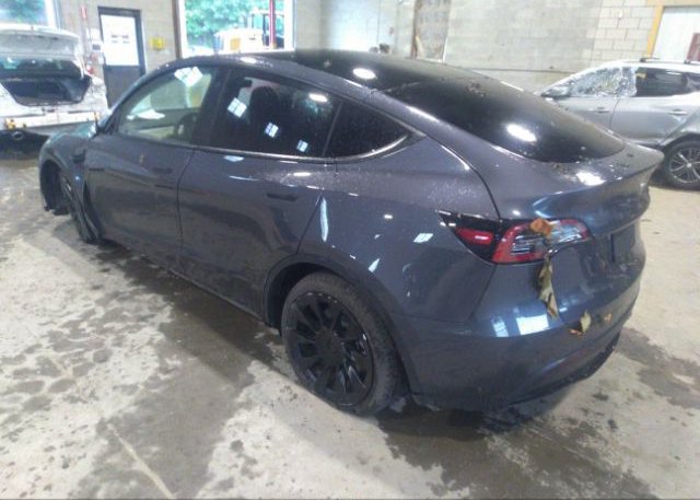 2021 TESLA MODEL Y(VIN: 5YJYGDEE0MF196412
