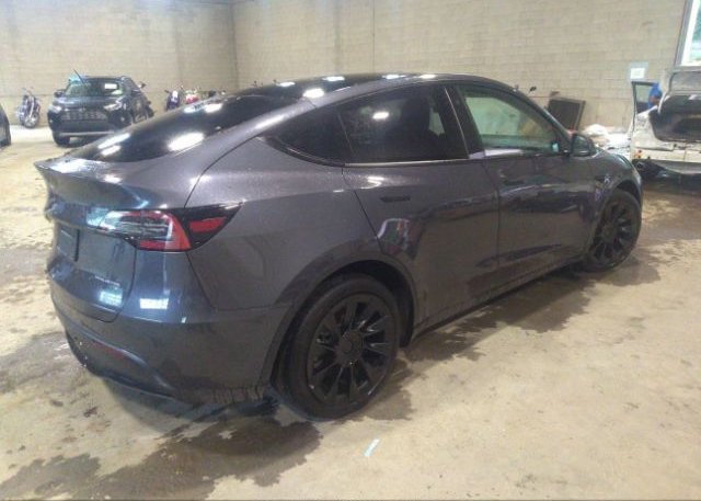 2021 TESLA MODEL Y(VIN: 5YJYGDEE0MF196412