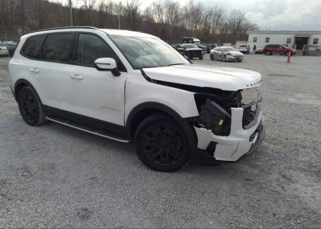 2021 KIA TELLURIDE (VIN: 5XYP3DHC4MG191899)