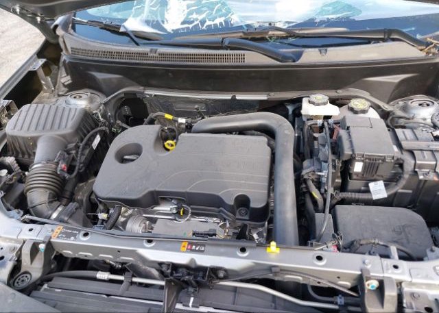 2023 CHEVROLET EQUINOX(VIN: 3GNAXTEG6PS202696