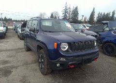 2021 JEEP Renegade T VIN ZACNJDC18MPM69378 фото с аукциона 5