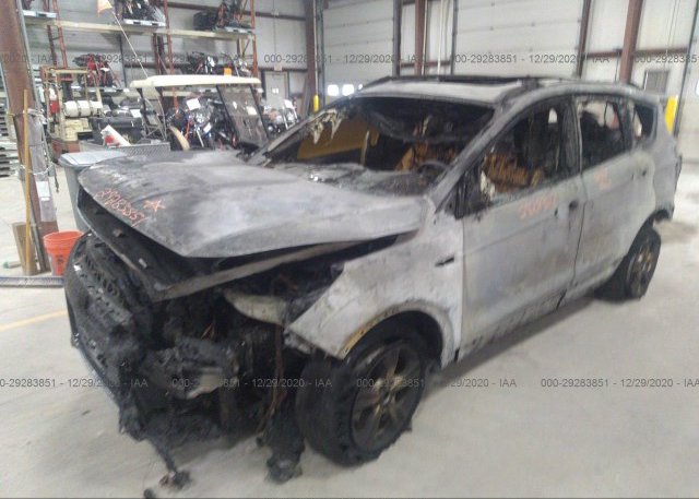 из сша 2014 FORD ESCAPE 1FMCU0GX5EUD57416