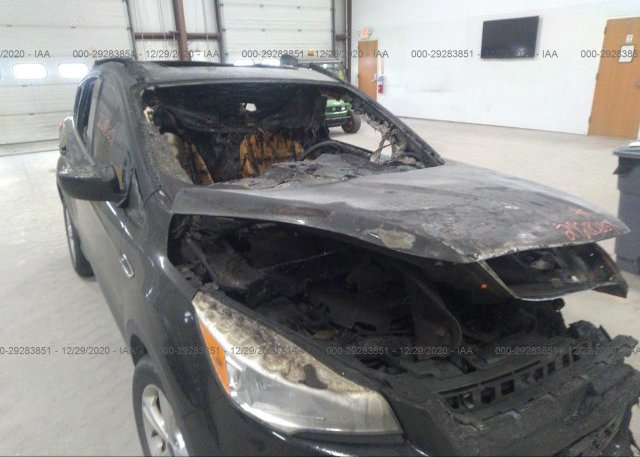 1FMCU0GX5EUD57416 2014 FORD ESCAPE
