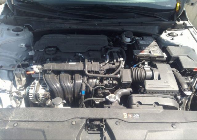 2023 HYUNDAI ELANTRA(VIN: 5NPLL4AG0PH089735