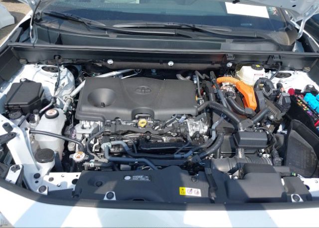 2023 TOYOTA RAV4(VIN: 4T3B6RFV8PU121749