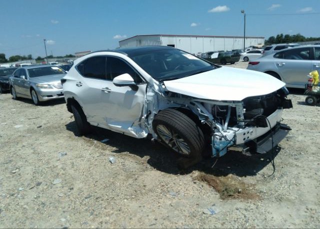 2022 LEXUS NX (VIN: JTJHKCEZ0N2005732)