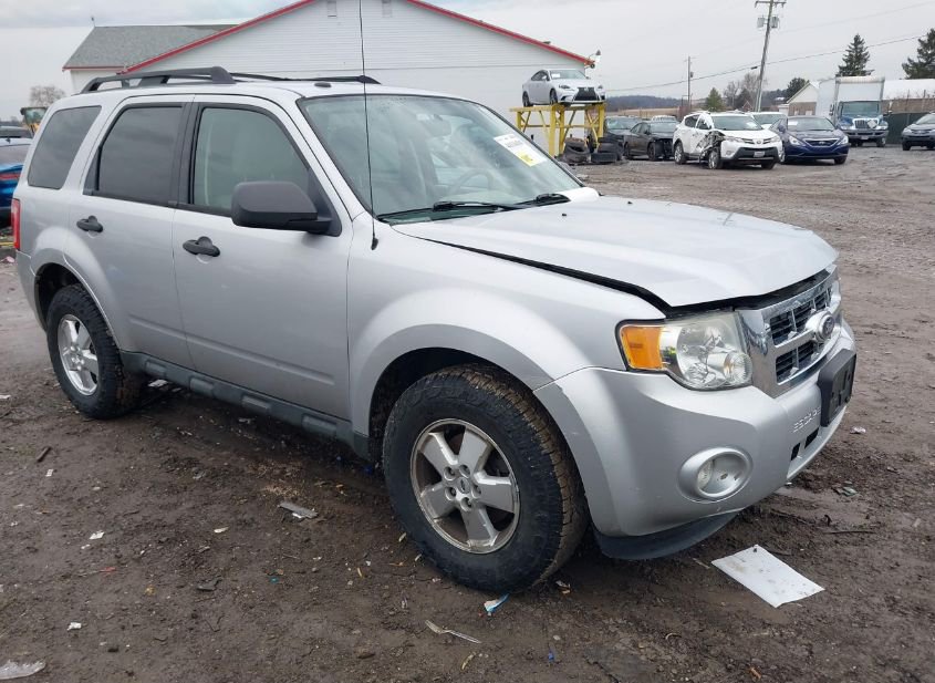 2011 FORD ESCAPE XLT photo
