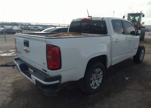 2019 CHEVROLET COLORADO VIN: 1GCGSCEA9K1270174