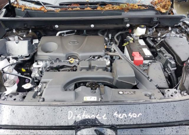 2023 TOYOTA RAV4(VIN: 2T3P1RFV9PW381937