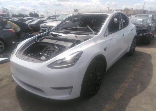 2022 TESLA MODEL Y(VIN: 7SAYGDEF1NF344046