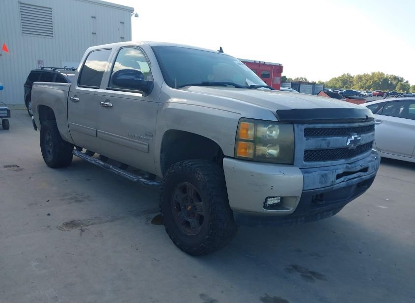 2009 CHEVROLET SILVERADO 1500 LT photo