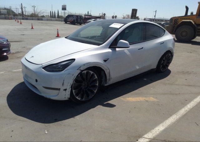 2022 TESLA MODEL Y(VIN: 7SAYGDEF2NF466737