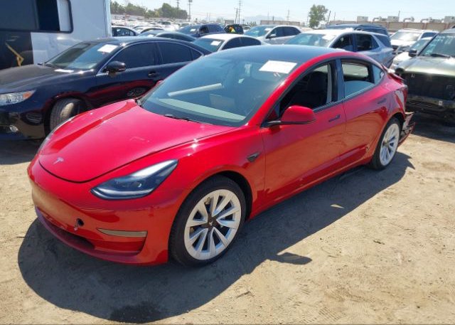 2022 TESLA MODEL 3(VIN: 5YJ3E1EB4NF156193