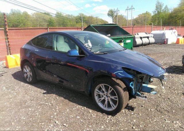 2023 TESLA MODEL Y (VIN: 7SAYGDEE8PF617672)