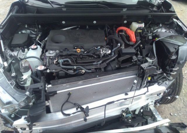 2023 TOYOTA RAV4(VIN: 4T3E6RFV6PU119379