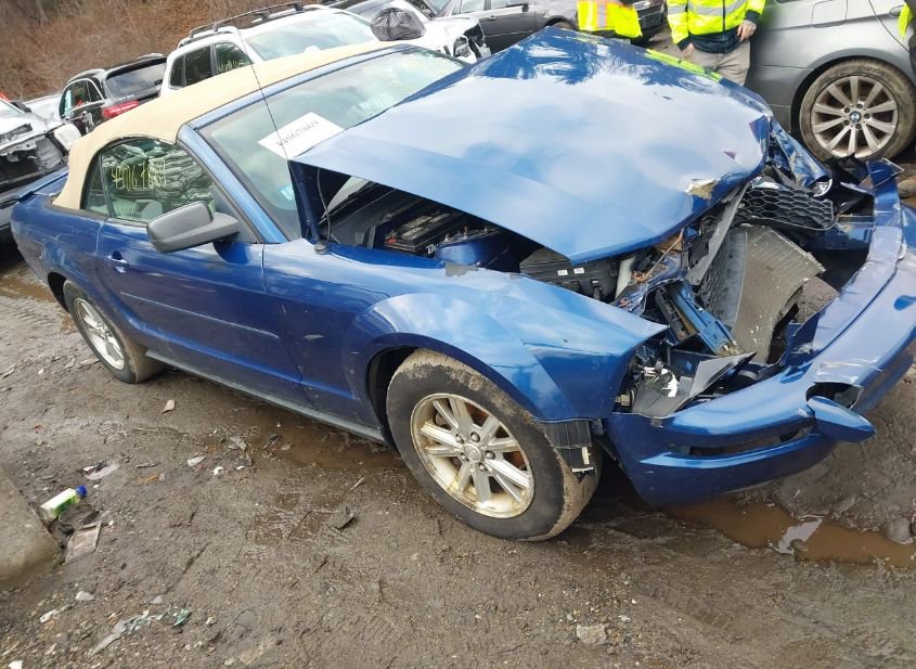 2008 FORD MUSTANG V6 PREMIUM photo