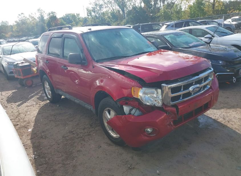 2011 FORD ESCAPE XLT photo