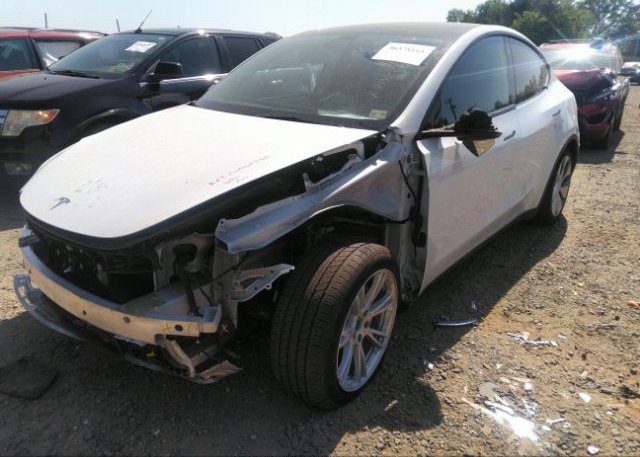 2022 TESLA MODEL Y(VIN: 7SAYGAEE7NF316631